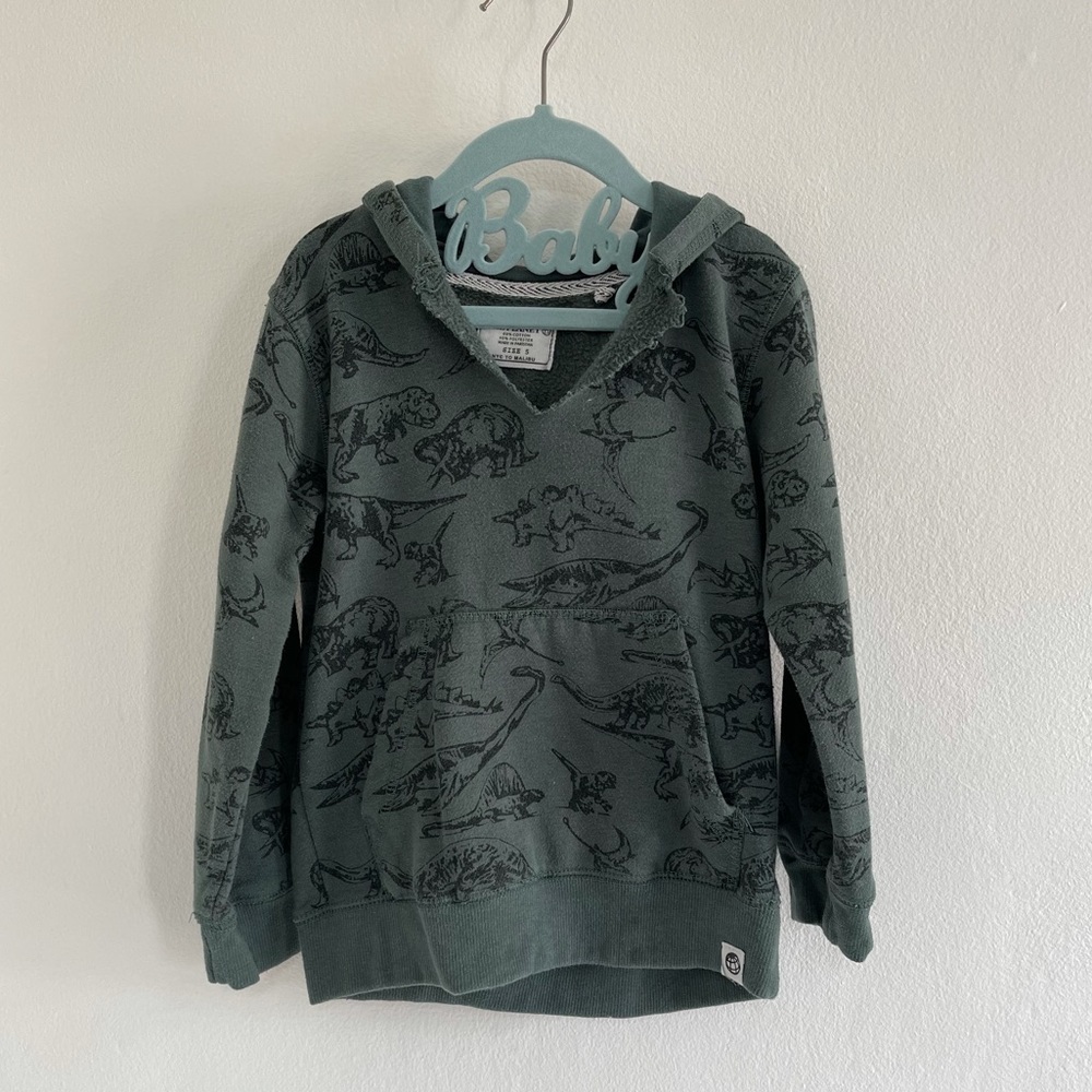 Fun dinosaur sweatshirt